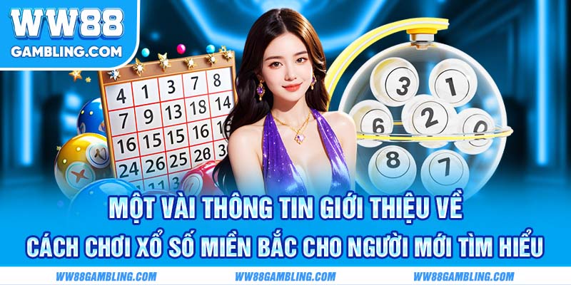 Một vài thông tin giới thiệu về cách chơi xổ số miền Bắc cho người mới tìm hiểu