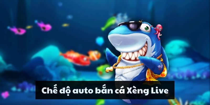 Sử dụng chế độ auto bắn cá hiệu quả