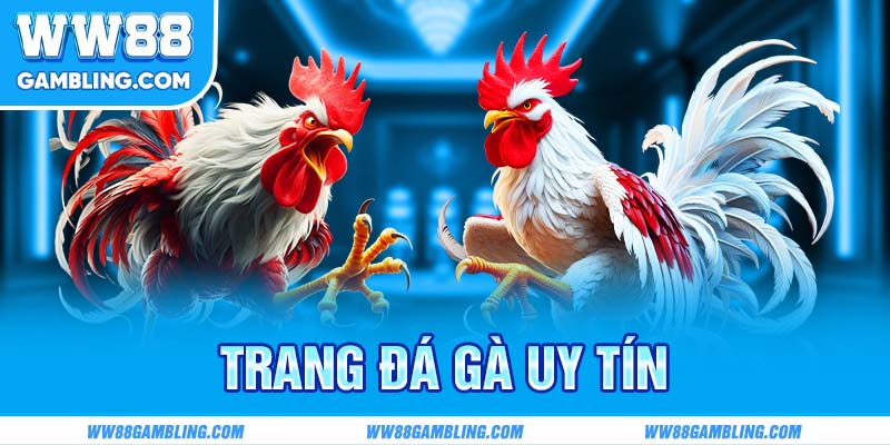 ảnh đại diện các trang đá gà uy tín ww88